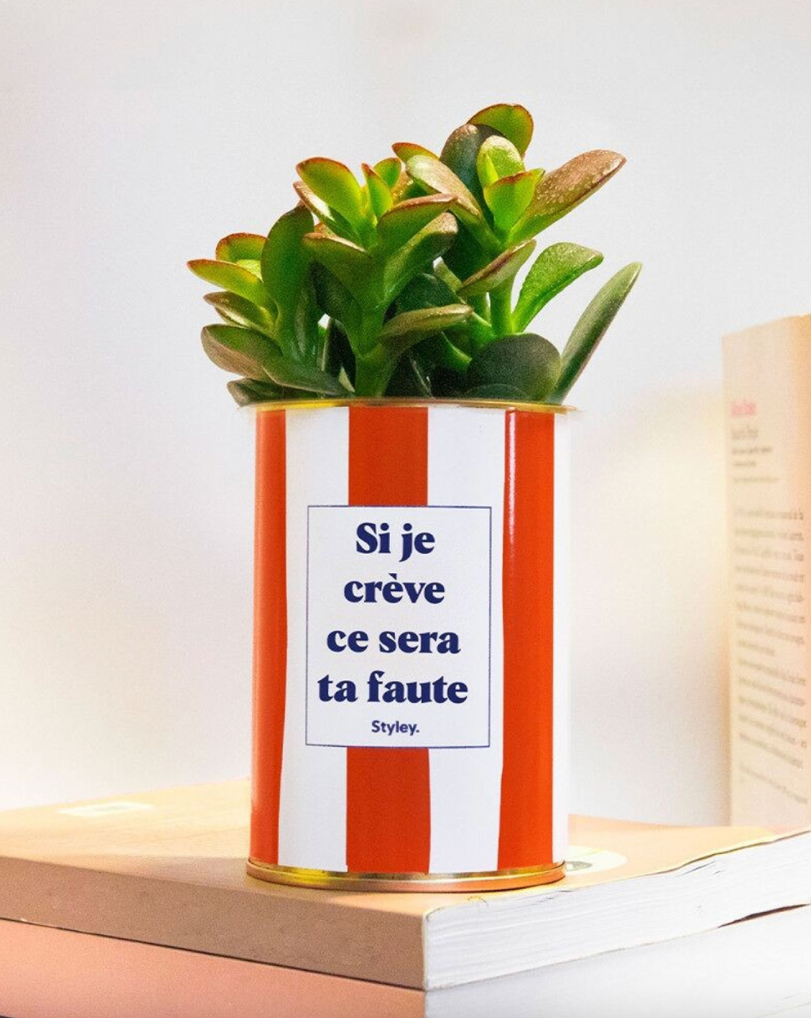 Plante Grasse - Si je crève ce sera ta faute